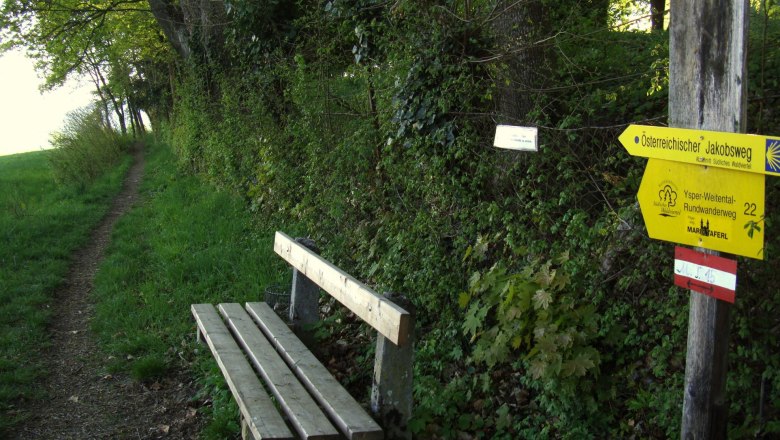 Wandern am Jakobsweg Maria Taferl, © Familie Frey/Zum goldenen Löwen Wandern am Jakobsweg Maria Taferl, © Familie Frey/Zum goldenen Löwen