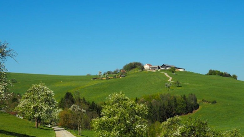 Kaumberg, © Kaumberg/Doris Radinger Kaumberg, © Kaumberg/Doris Radinger