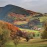 Der Wienerwald, © Gasthof zur Bruthenne Der Wienerwald, © Gasthof zur Bruthenne