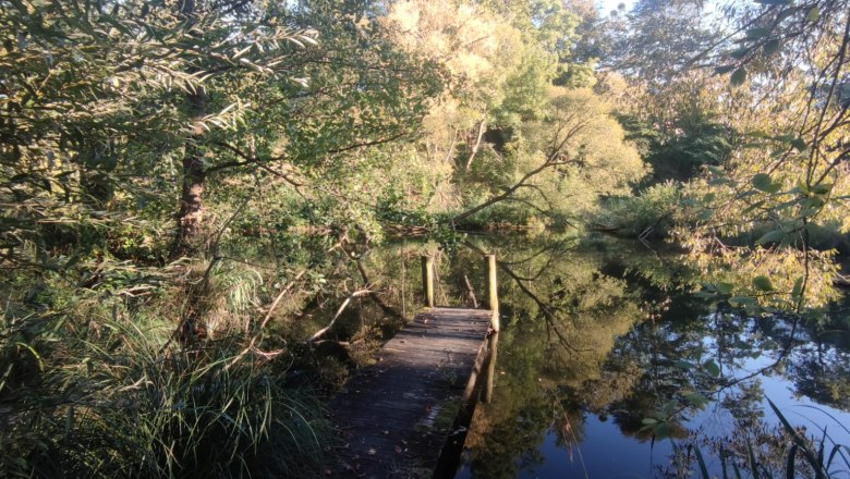 Steinschaler Teich, © Steinschalerhof Ein kleiner Holzsteg führt in einen ruhigen, von Bäumen umgebenen Teich.