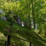Stiftspark Lilienfeld, © Natur im Garten/Alexander Haiden Ein kleiner Tempel im Stiftspark Lilienfeld, umgeben von dichtem Wald und grünem Laub.