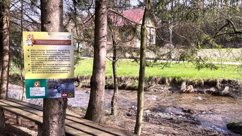 Wasserstelle, © "Natur im Garten" Ein Schild über Biberleistungen an einem Bachlauf im Wald.