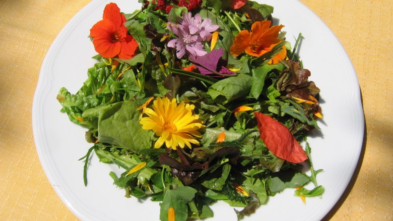 wiki-sh_wildkraeutersalat__c_naturhotel-steinschalerhof, © Naturhotel Steinschalerhof Ein Teller mit Wildkräutersalat und essbaren Blüten auf gelber Tischdecke.