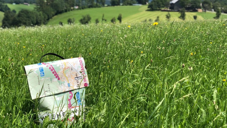 "Gustav" in Kaumberg, © Wienerwald Tourismus "Gustav" in Kaumberg, © Wienerwald Tourismus