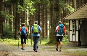 Weg zur Waldkapelle Weinburg, © weinfranz.at Weg zur Waldkapelle Weinburg, © weinfranz.at