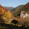 Der Wienerwald, © Gasthaus Bruthenne Der Wienerwald, © Gasthaus Bruthenne