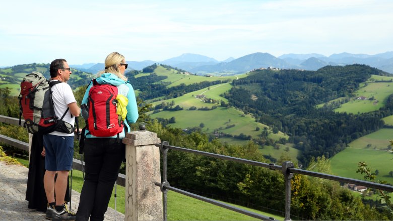 Sonntagbergweg, © weinfranz.at Sonntagbergweg, © weinfranz.at