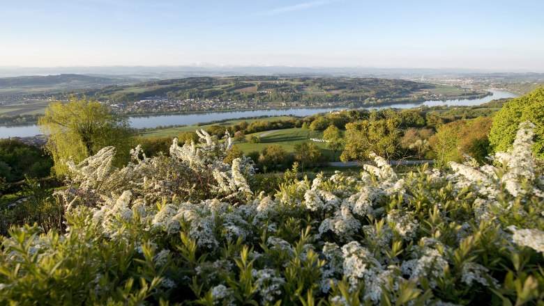 Hotel Schachner, © Hotel Schachner Panoramablick auf eine Flusslandschaft mit blühenden Sträuchern im Vordergrund.