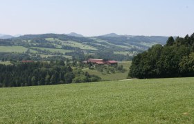 Aussichtsplatz beim Dörrhaus, © Marktgemeinde Hofstetten-Grünau Aussichtsplatz beim Dörrhaus, © Marktgemeinde Hofstetten-Grünau