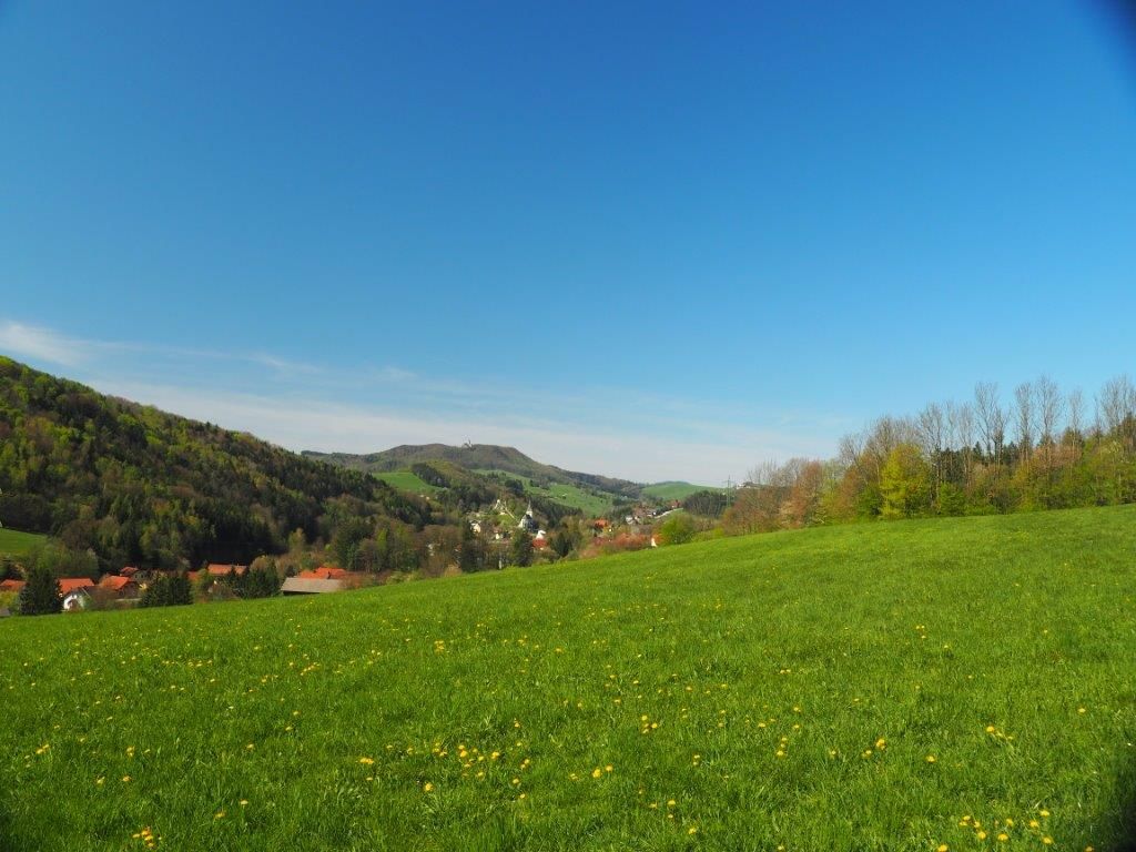 Das grüne Kaumberg
