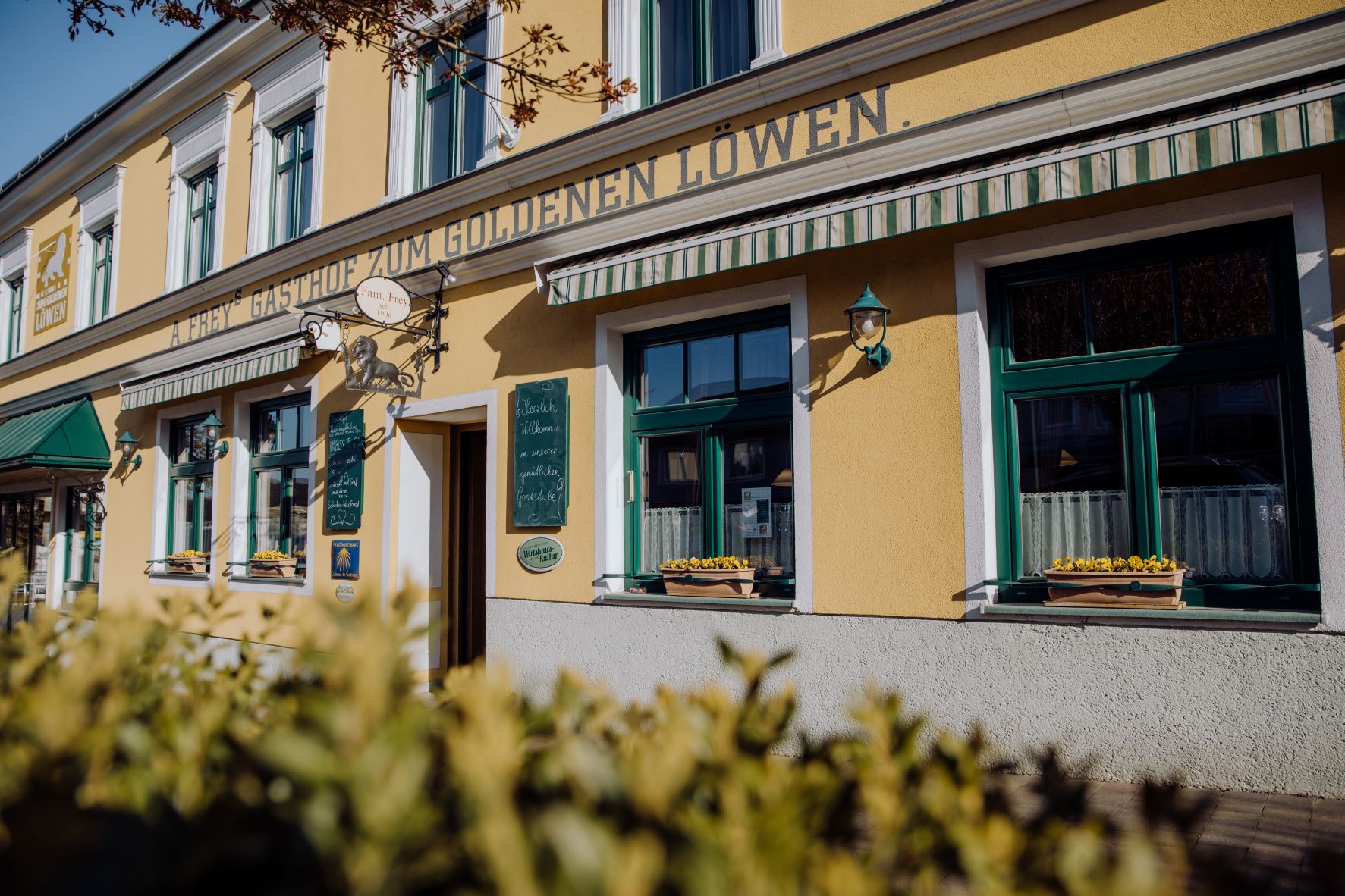 Außenansicht eines gelben Gebäudes mit der Aufschrift 'Zum goldenen Löwen'. Fenster mit Blumenkästen und grünen Markisen.