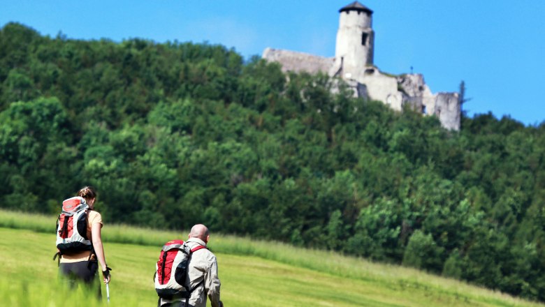 Pilgern entlang von Via Sacra und Wr. Wallfahrerweg, &copy; weinfranz.at
