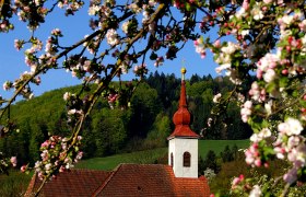 Kirche in St. Veit/Gölsen mit blühenden Zweigen im Vordergrund.