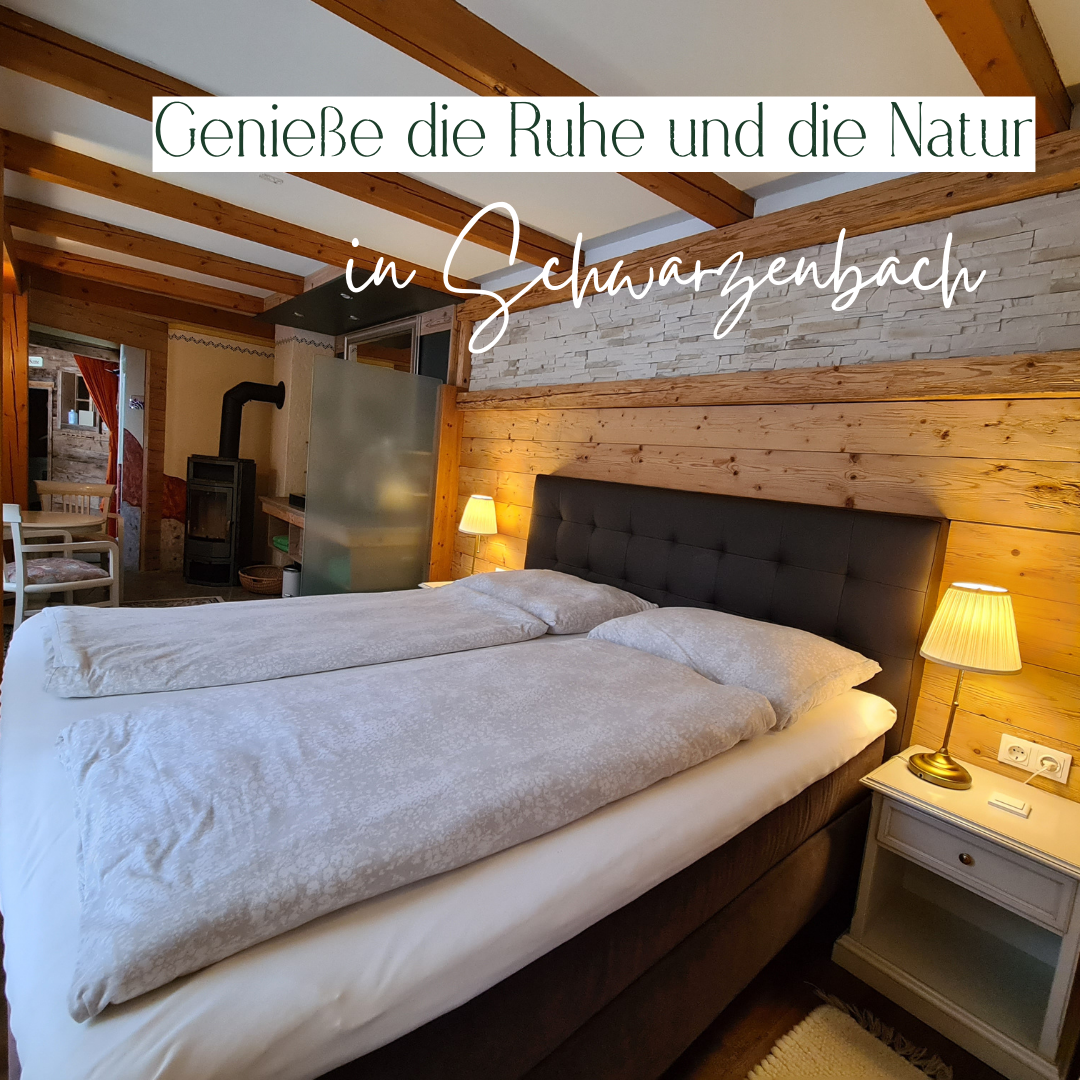 Saunazimmer - Genieße die Ruhe und die Natur in Schwarzenbach