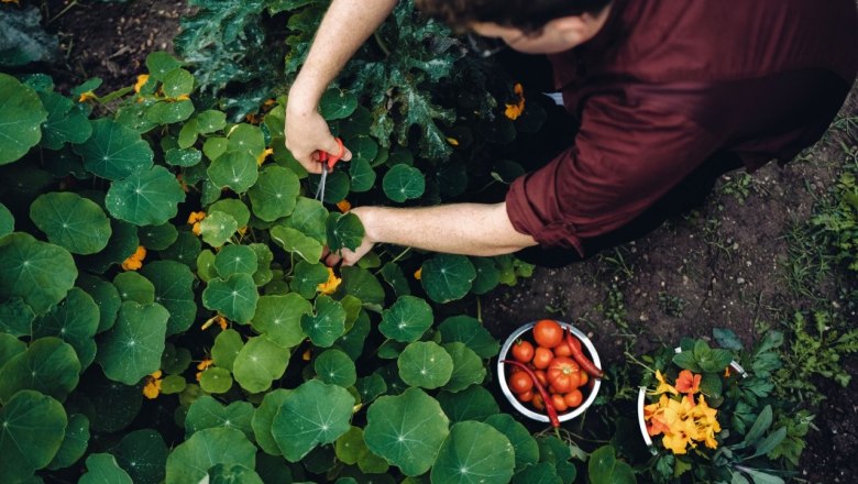 Gasthof Alpenblick, © Moststraße, dochbodnliacht