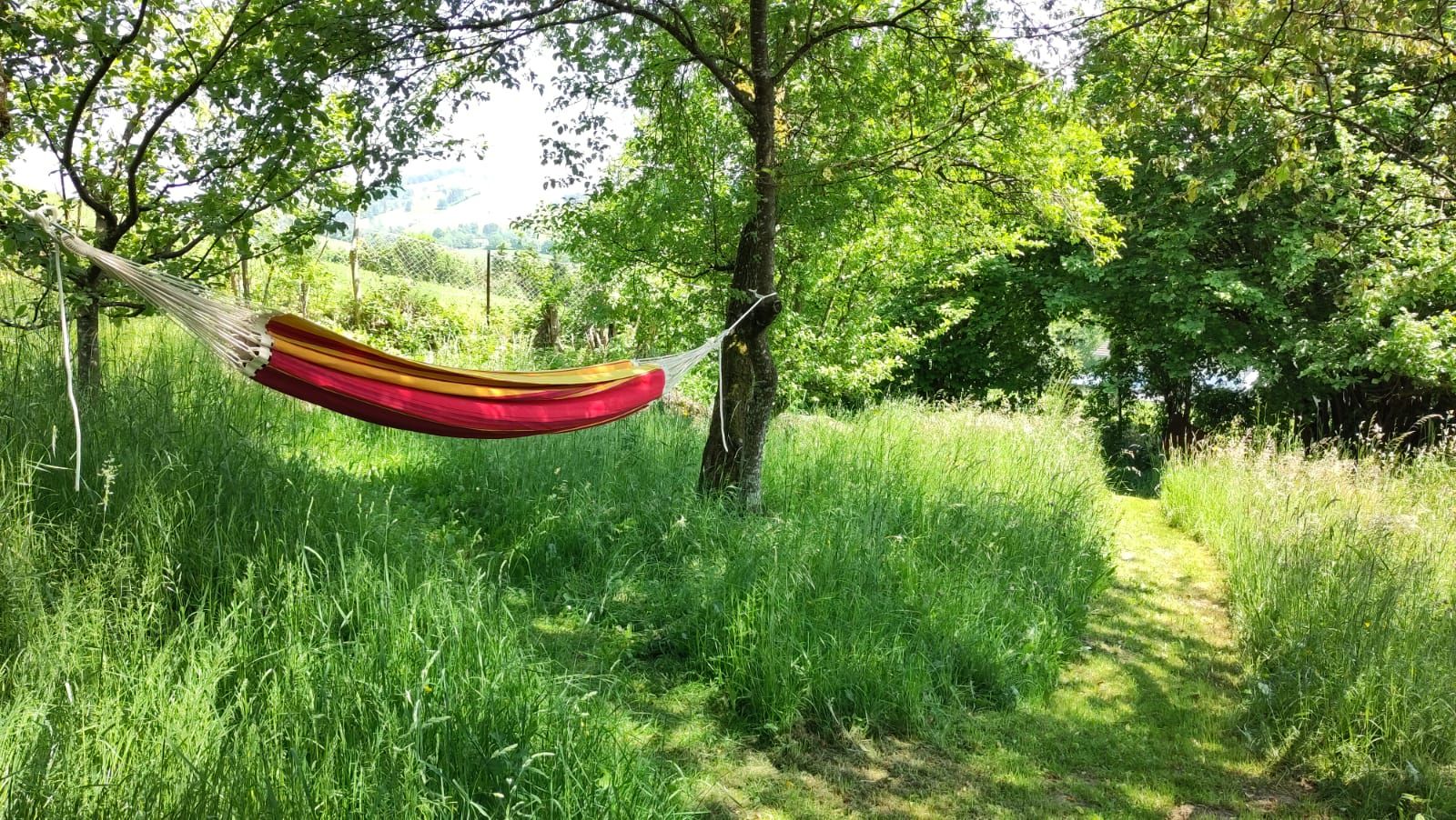 Naturparadies am Sonntagberg