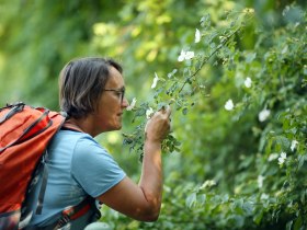 Pilgern auf der Via Sacra, &copy; Mostviertel - Via Sacra