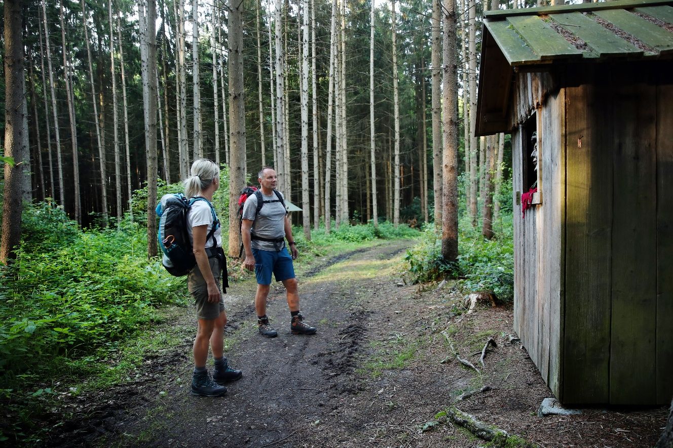 Durch den Wald pilgern