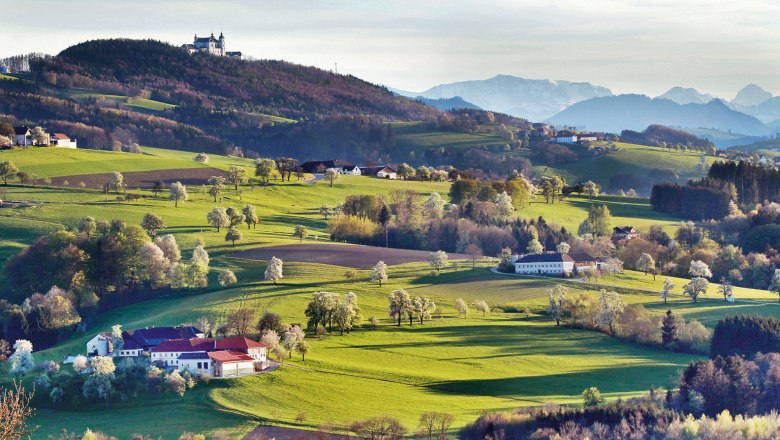 Landschaft mit gr&uuml;nen H&uuml;geln, verstreuten H&auml;usern und einem Kloster auf einem H&uuml;gel im Hintergrund.