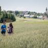 Wandern am Jakobsweg Maria Taferl, &copy; Familie Frey/Zum goldenen L&ouml;wen