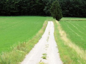 Schwung, &copy; Mostviertel Tourismus / zunder zwo