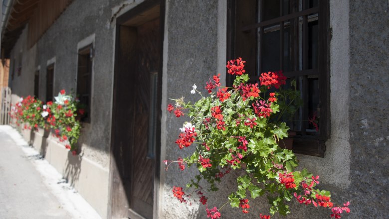 Blumen an einem Fenster eines alten Hauses.