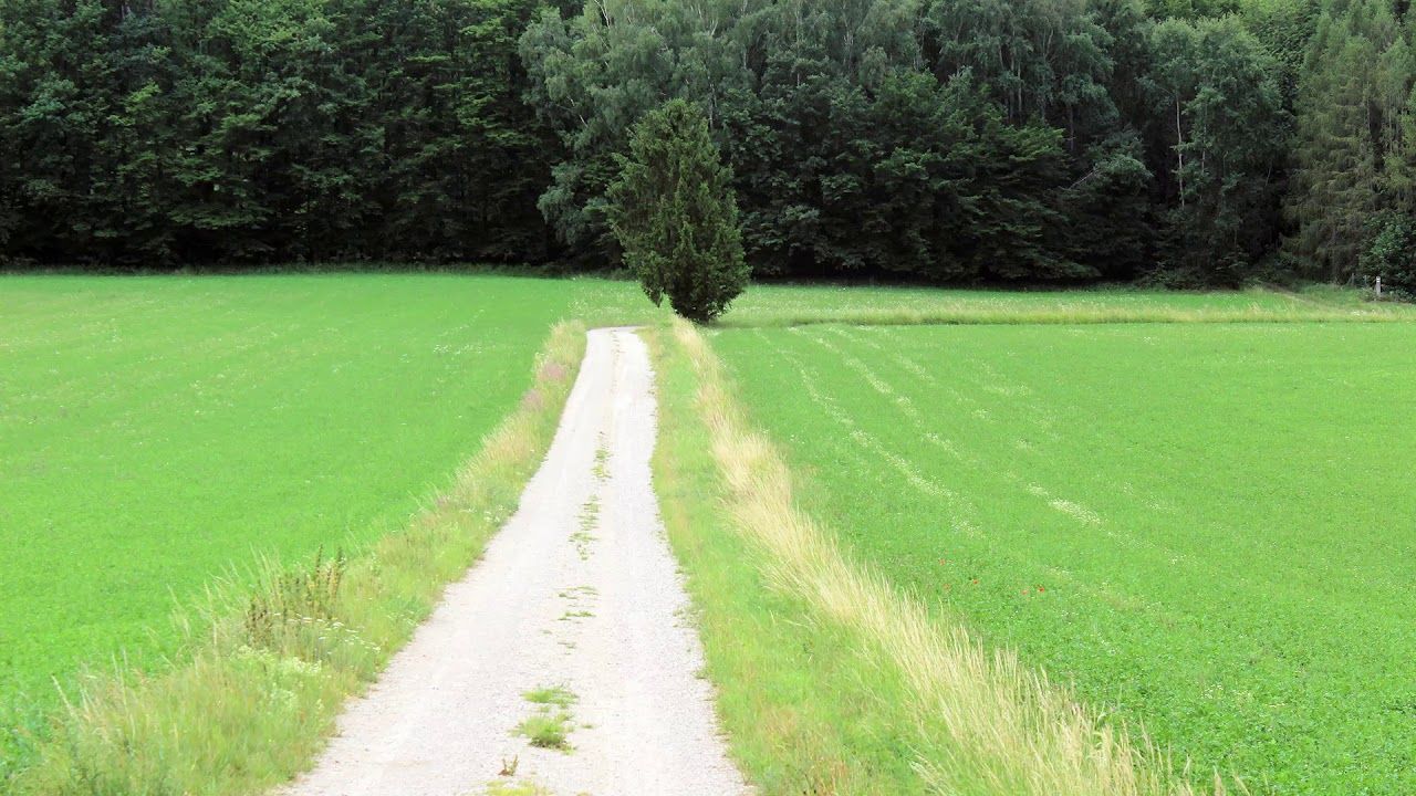 Audio Pilgerbegleitung - Schwung