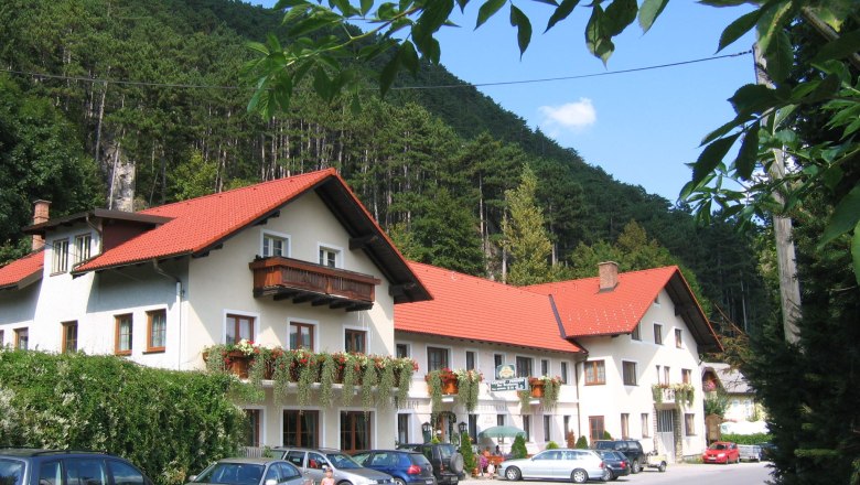 Ein traditioneller Gasthof mit roten Dächern und Blumenkästen, umgeben von Wald und geparkten Autos.