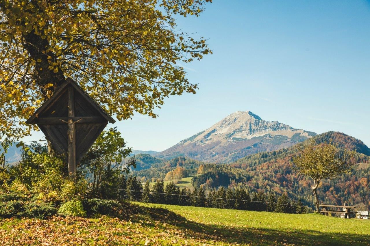 Herbst am Joachimsberg