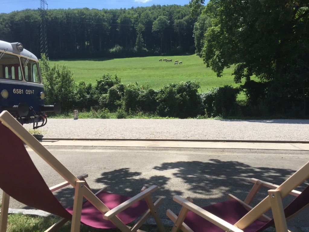 Schattiger Vorgarten mit Liegestühlen