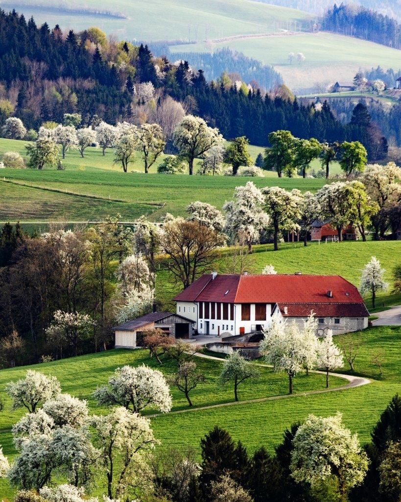 Fotopunkt Karl Lammerhuber Blick