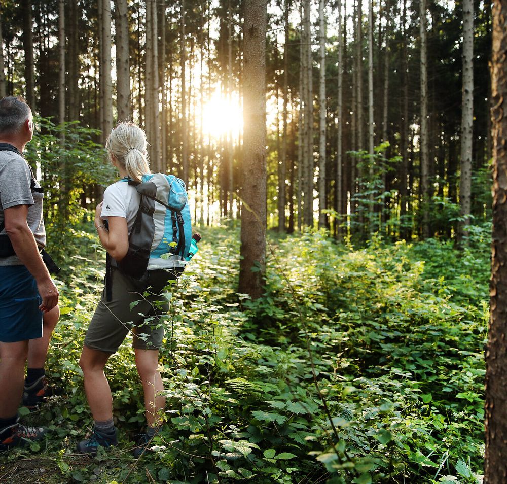 Pilgernde stehen im Wald mit Sonnenlicht zwischen den Bäumen.