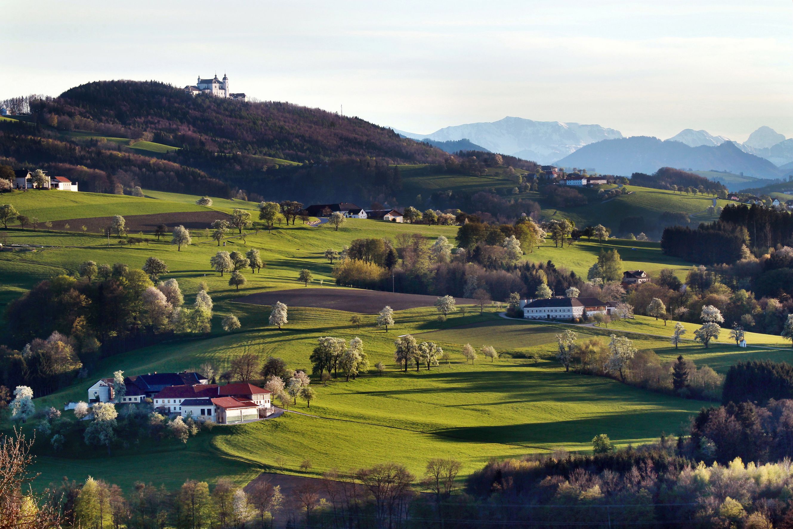 Blick auf die Basilika Sonntagberg auf einem Hügel, umgeben von grünen Feldern und Bäumen, mit Bergen im Hintergrund.