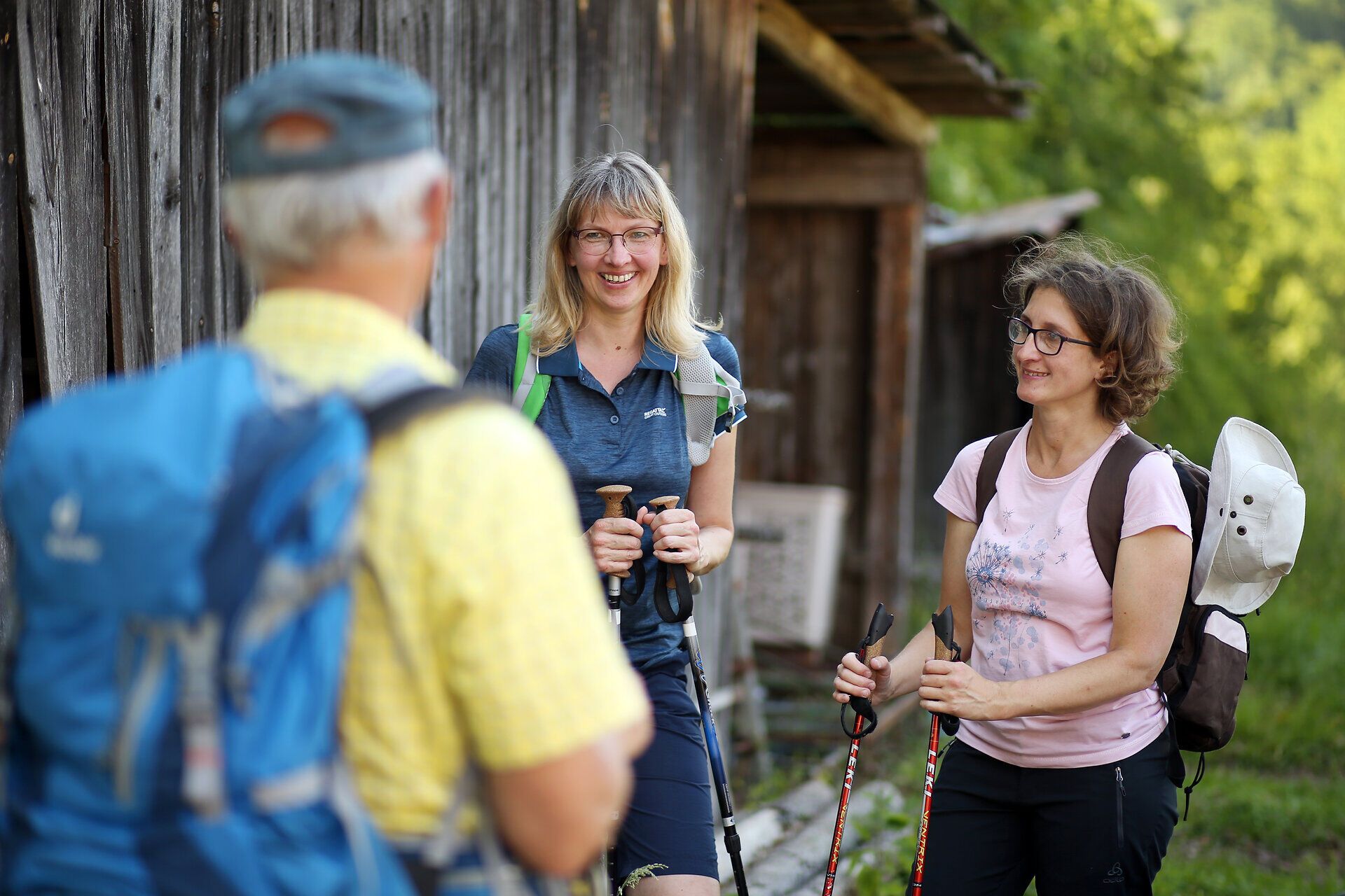 In der warmen Sommerluft begegnen sich Wanderer auf dem Pilgerweg, umgeben von der üppigen Natur des Mostviertels. Die fröhlichen Gesichter und die Wanderstöcke zeugen von der Freude am gemeinsamen Entdecken der malerischen Landschaft. Hier, wo die Wege zu den Hütten führen, wird die Seele mit jedem Schritt leichter.