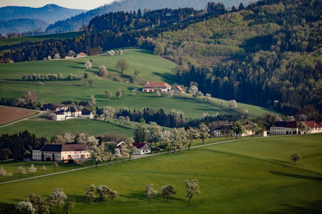 Fotopunkt Karl Lammerhuber Blick