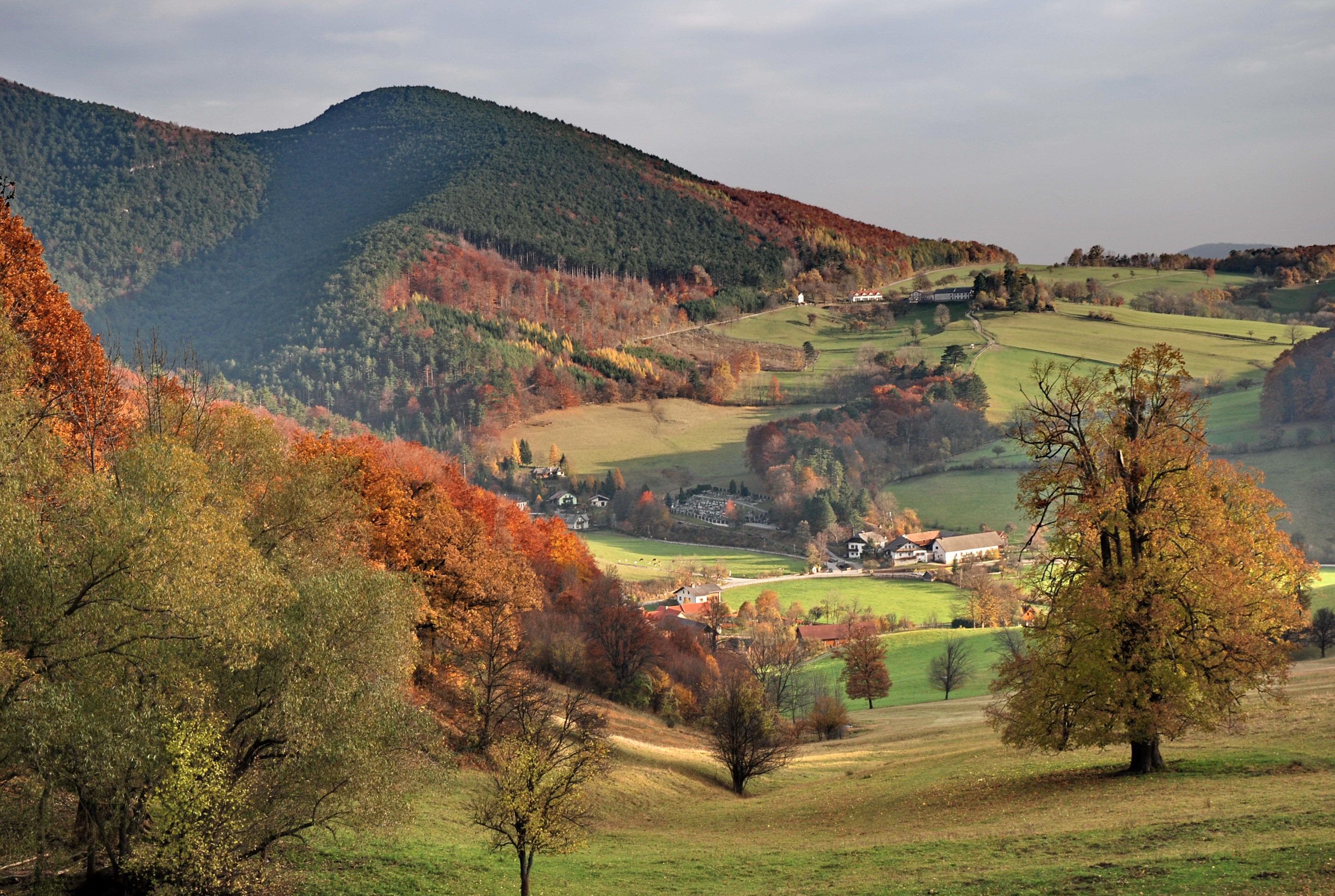Der Wienerwald