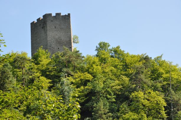 Ruine Freyenstein