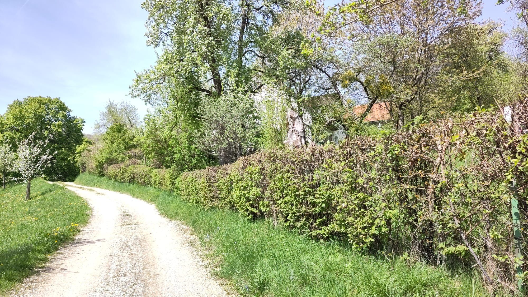Naturparadies am Sonntagberg