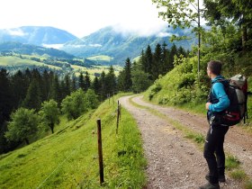 Ausblick an der Via Trinitatis, &copy; Mostviertel
