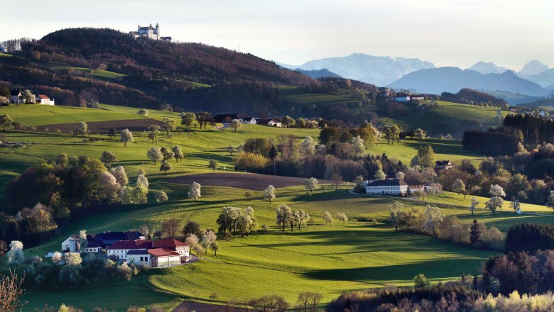 Blick auf die Basilika Sonntagberg auf einem Hügel, umgeben von grünen Feldern und Bäumen, mit Bergen im Hintergrund.