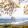 Herbstliche Landschaft mit Blick auf das Donautal und buntem Laub im Vordergrund.