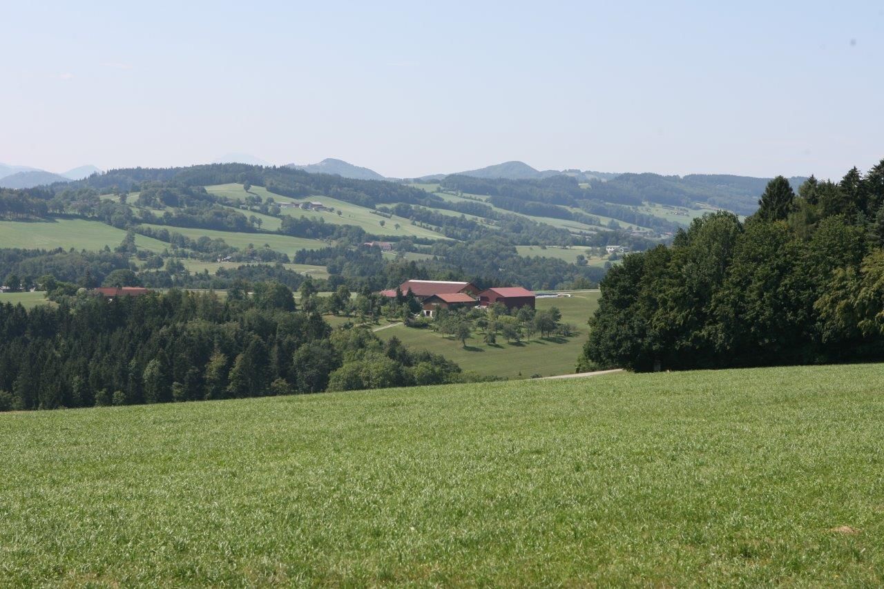 Aussichtsplatz beim Dörrhaus
