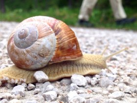 Zeit, &copy; Mostviertel Tourismus / zunder zwo