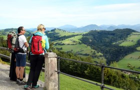 Sonntagbergweg, &copy; weinfranz.at