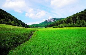 Grüne Wiese mit Hügeln und bewaldeten Bergen im Hintergrund unter blauem Himmel.