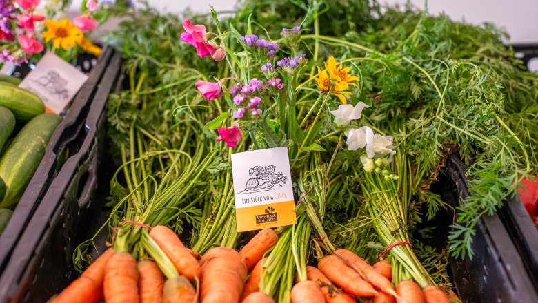 Karottenbund, &copy; Thomas Vostandlechner