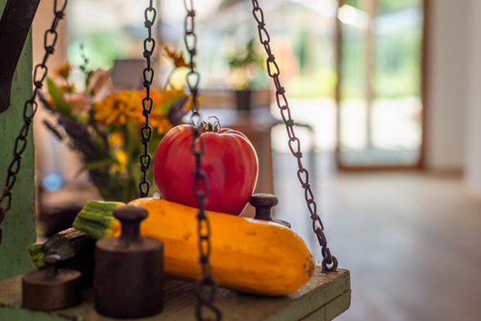VInziRast am Land