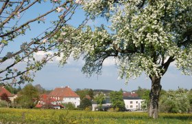 Bildungszentrum St. Benedikt, © BZ St. Benedikt