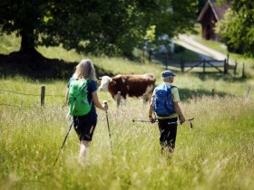 Pilger in Rohrbach an der G&ouml;lsen, &copy; Mostviertel - Via Sacra