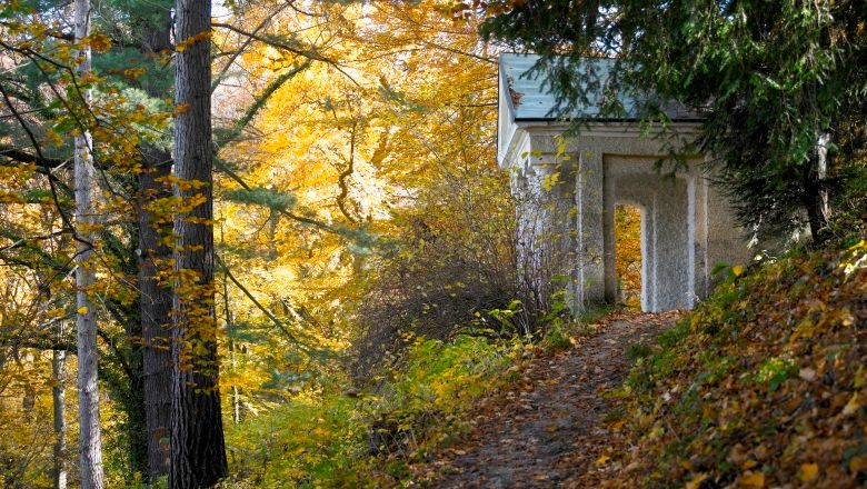 Herbstszene im Stiftspark Lilienfeld mit Laub und kleinem Gebäude.
